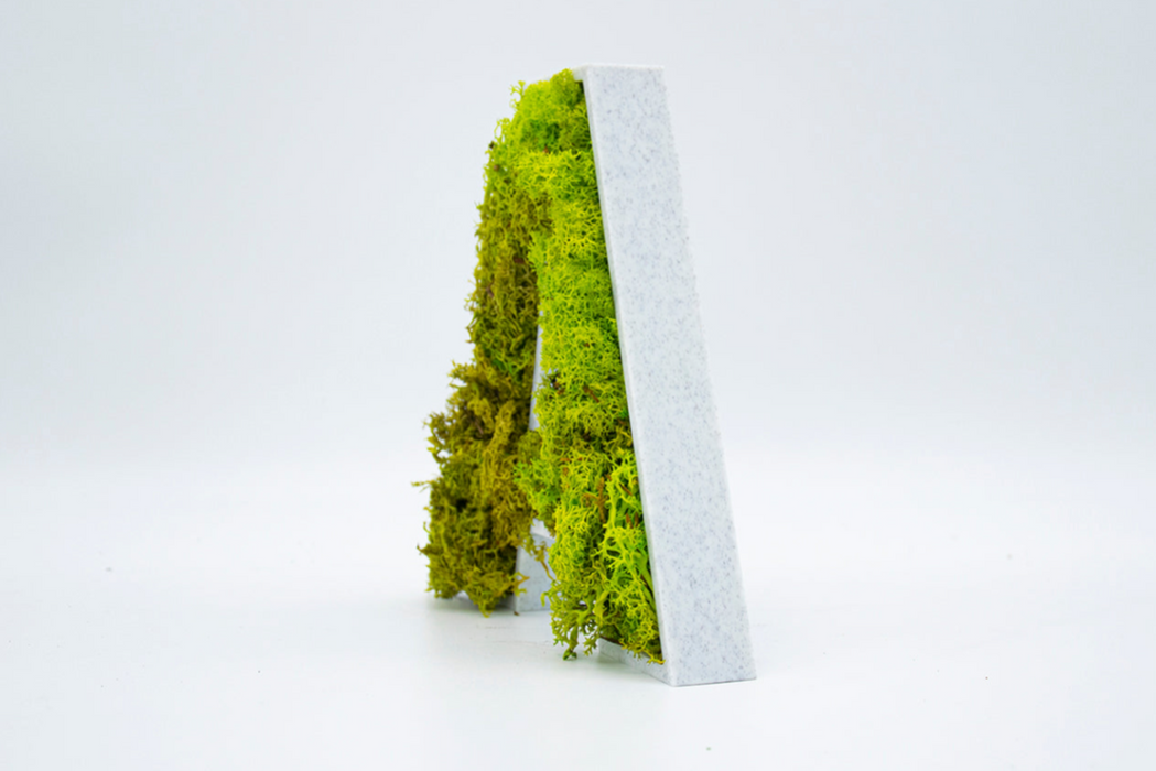 Letra de Musgo (Verde 2) en 3D - 15 cm de altura