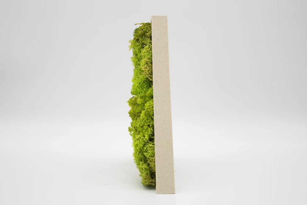 Letra de Musgo (Verde) en 3D - 15 cm de altura