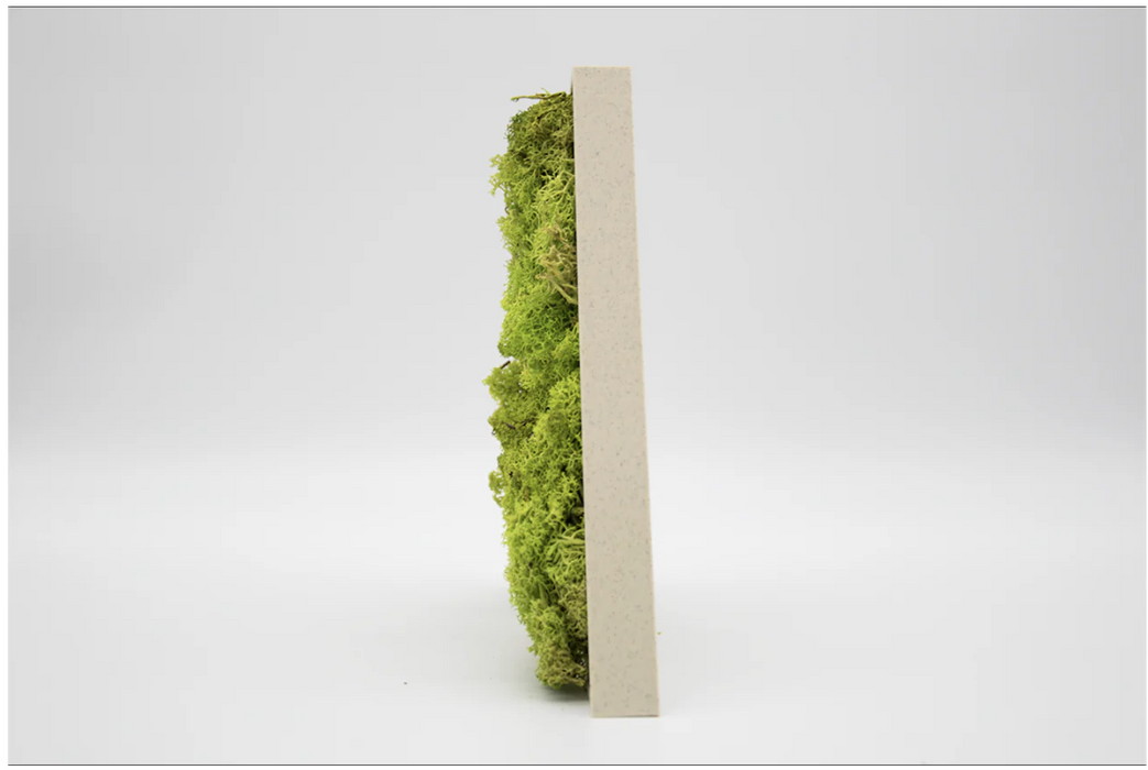 Letra de Musgo (Verde) en 3D - 15 cm de altura