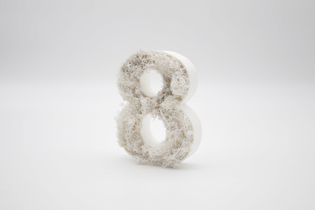 Número de Musgo (Blanco) en 3D - 15 cm de altura 2