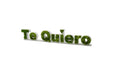 Vista en perspectiva del pack de letras Te Quiero decorativo con acabado en musgo verde