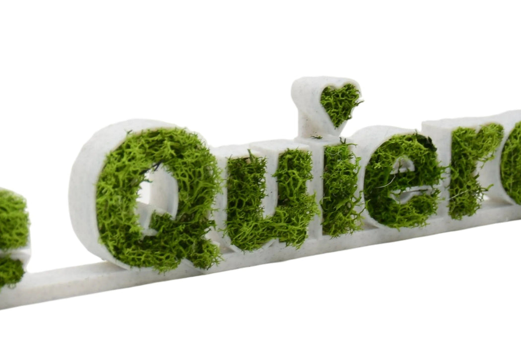 Detalle del musgo verde preservado en las letras Te Quiero, con textura natural y decorativa