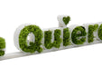 Detalle del musgo verde preservado en las letras Te Quiero, con textura natural y decorativa