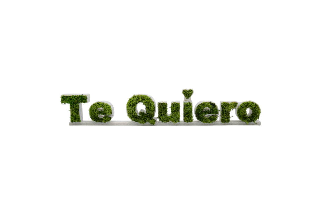 Figura decorativa en 3D con la frase Te Quiero rellena de musgo verde natural preservado