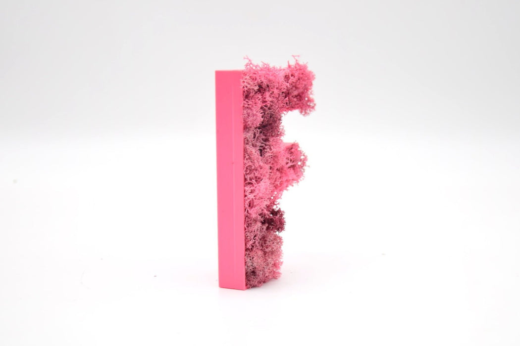 Letra de Musgo (Rosa) en 3D - 15 cm de altura