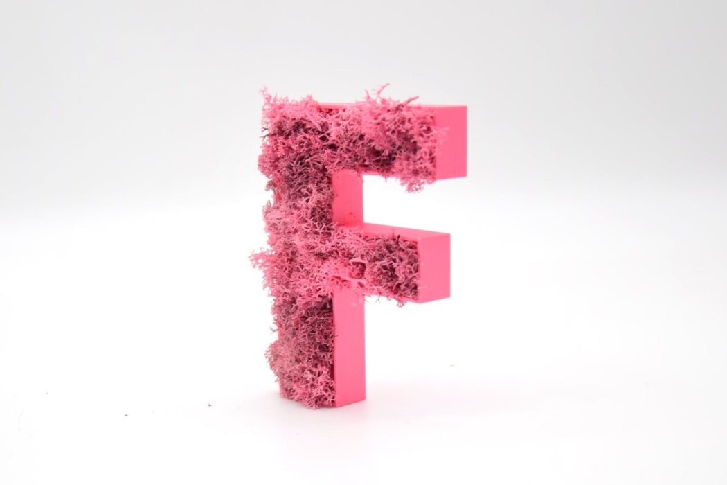 Letra de Musgo (Rosa) en 3D - 15 cm de altura