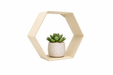 Balda hexagonal decorativa en color arena con planta colocada en el interior, vista frontal