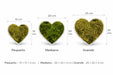 Medidas corazones decorativos con musgo preservado 