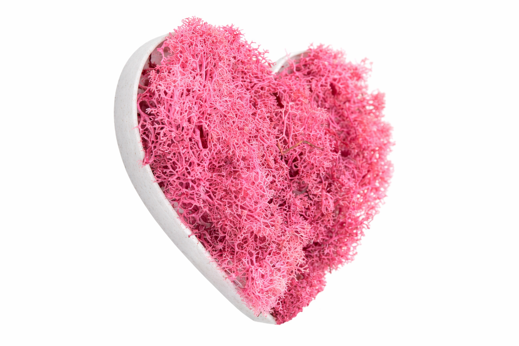 Corazón decorativo con musgo preservado rosa.