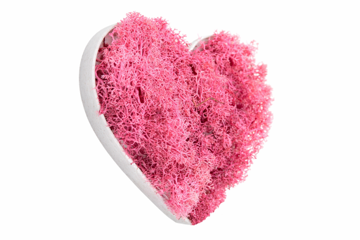 Corazón decorativo con musgo preservado rosa natural, diseño romántico y sostenible