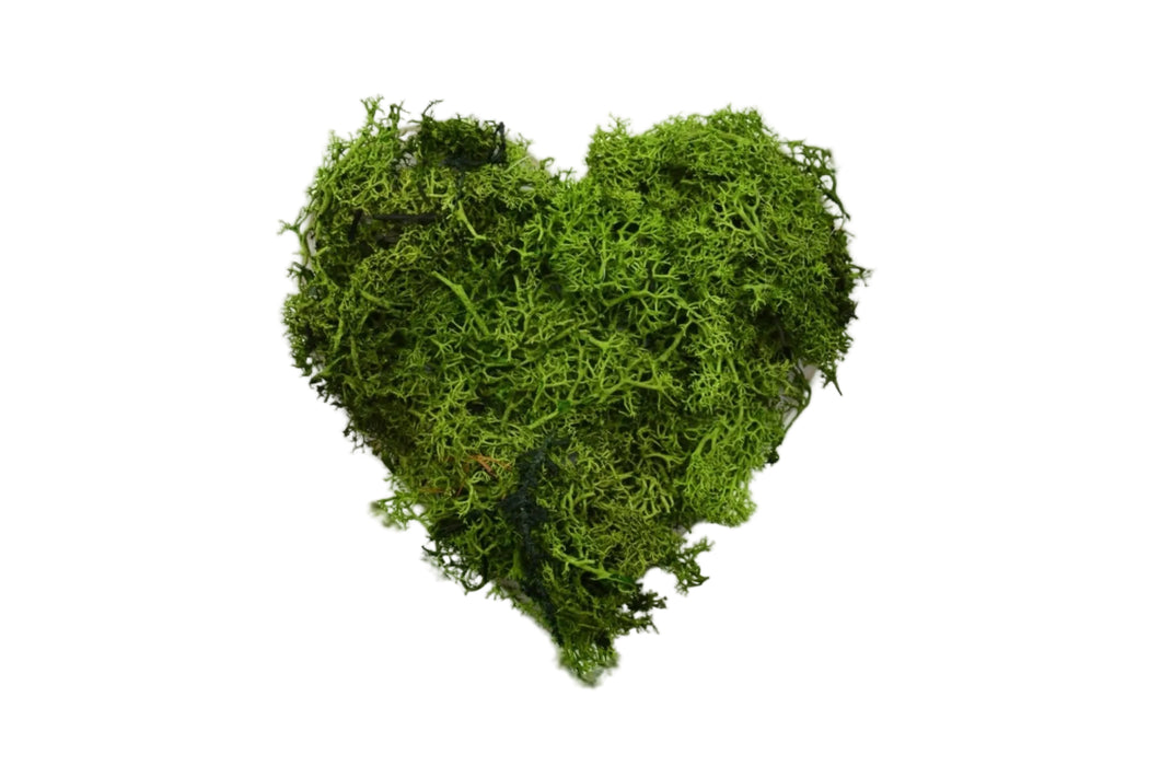 Corazón decorativo con musgo preservado verde, diseño romántico y sostenible