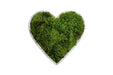 Corazón decorativo con musgo preservado verde natural, diseño romántico y sostenible