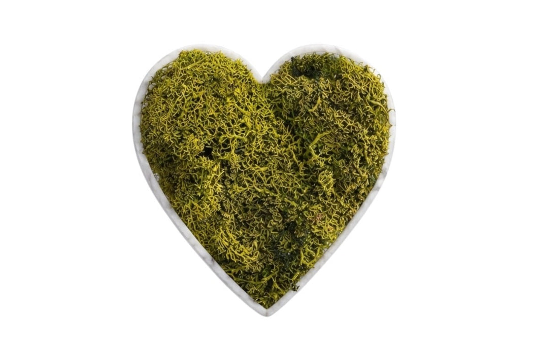 Corazón decorativo con musgo preservado verde seco natural, diseño romántico y sostenible