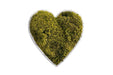 Corazón decorativo con musgo preservado verde seco natural, diseño romántico y sostenible