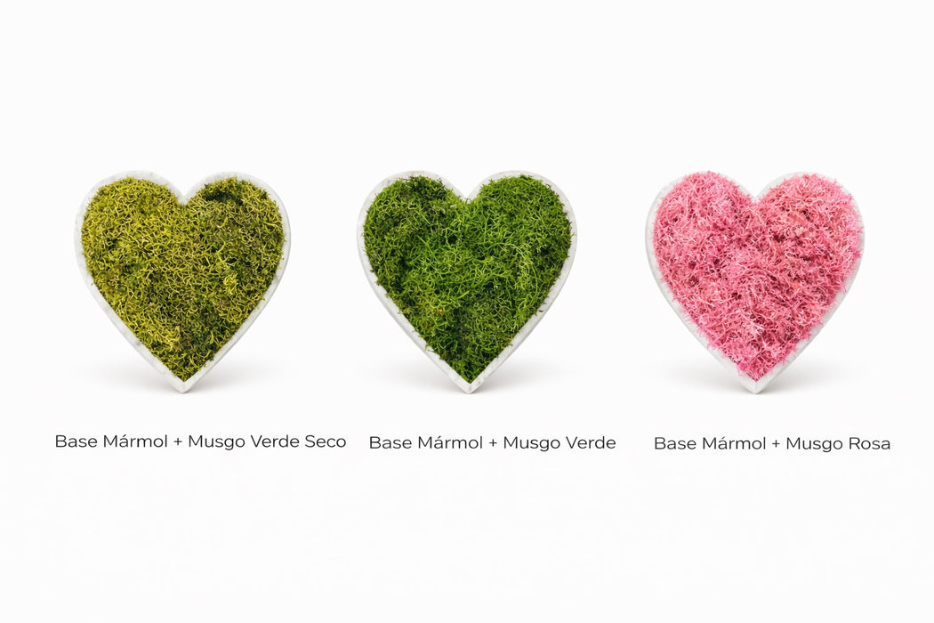 Colores corazones decorativos con musgo preservado 
