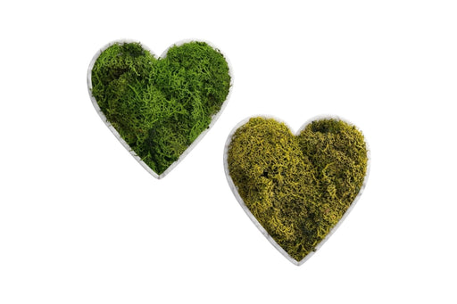 Corazones decorativos con musgo preservado verde seco y verde natural, diseño romántico y sostenible