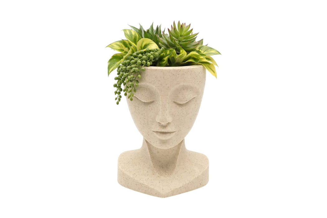 macetero rostro minimalista decoracion hogar vista frontal color arena con plantas fondo blanco