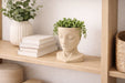 macetero rostro minimalista decoracion hogar vista lateral color arena con plantas fondo hogar