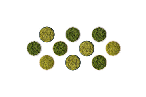 Composición modular de paneles circulares de musgo preservado sobre fondo blanco