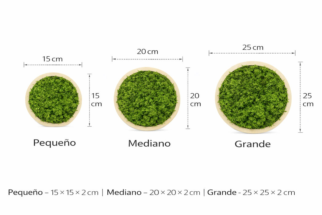 Panel circular de musgo preservado para pared – Decoración modular
