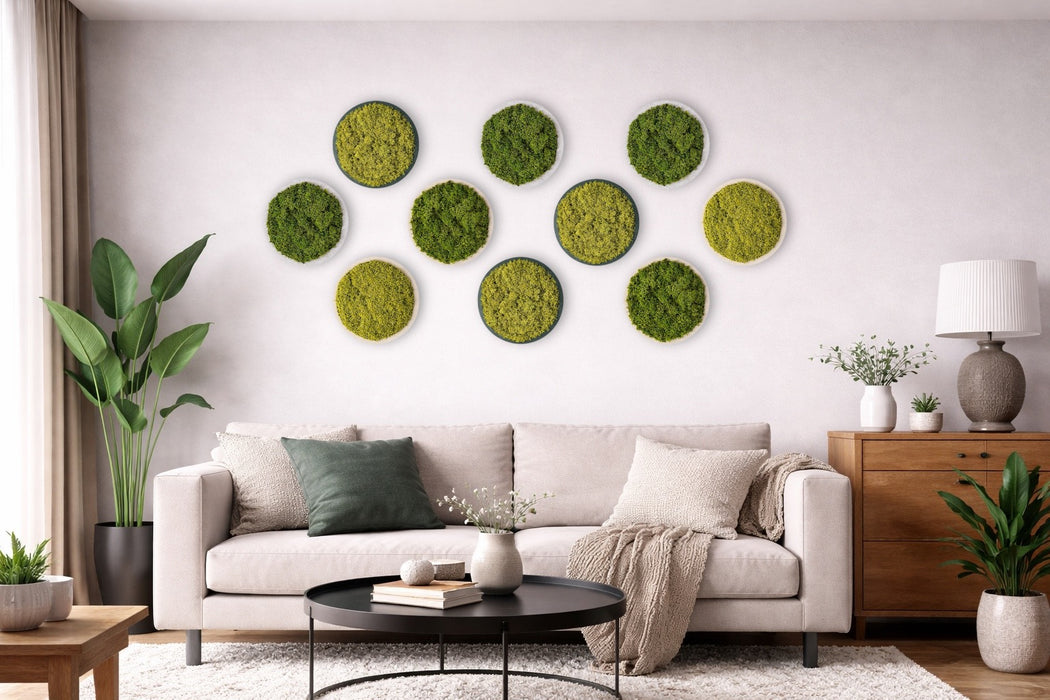 Panel circular de musgo preservado para pared – Decoración modular