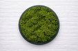 Panel circular decorativo con musgo preservado verde y PLA base verde interferencia, vista frontal