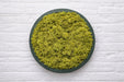 Panel circular decorativo con musgo preservado verde seco y base PLA verde interferencia, vista frontal