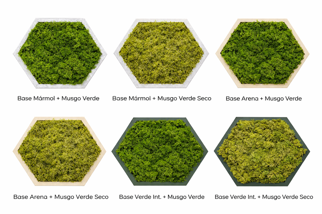 Combinaciones de colores disponibles para los paneles hexagonales de musgo preservado