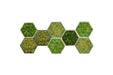Composición modular de paneles hexagonales de musgo preservado sobre fondo blanco