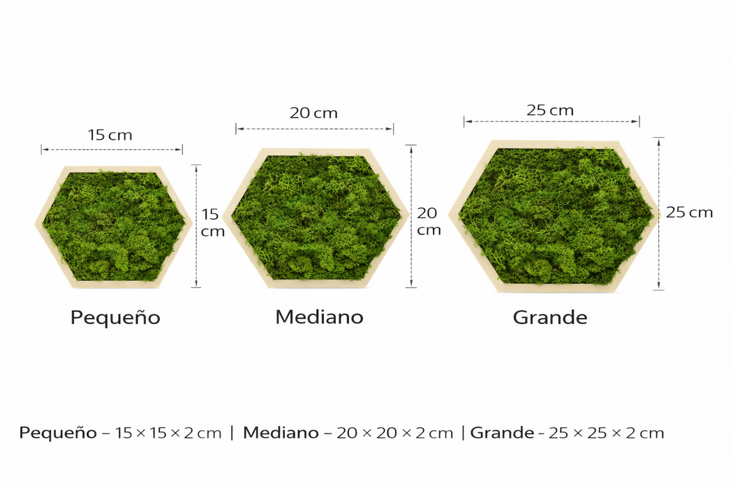 Cotas y medidas disponibles del panel hexagonal decorativo con musgo preservado