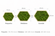 Cotas y medidas disponibles del panel hexagonal decorativo con musgo preservado