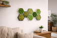 Paneles hexagonales de musgo preservado colocados en pared de salón, estilo natural