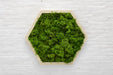 Panel hexagonal decorativo con musgo preservado verde y base PLA arena, vista frontal