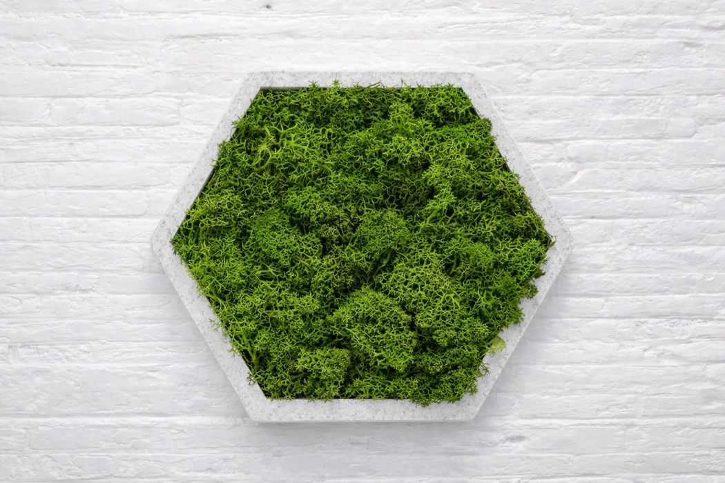 Panel hexagonal decorativo con musgo preservado verde y base PLA mármol, vista frontal