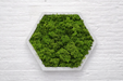 Panel hexagonal decorativo con musgo preservado verde y base PLA mármol, vista frontal