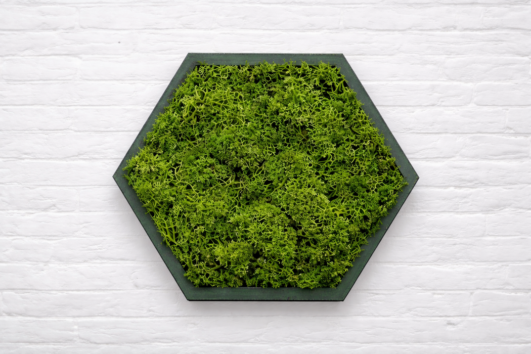 Panel hexagonal decorativo con musgo preservado verde y PLA base verde interferencia, vista frontal