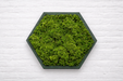 Panel hexagonal decorativo con musgo preservado verde y PLA base verde interferencia, vista frontal