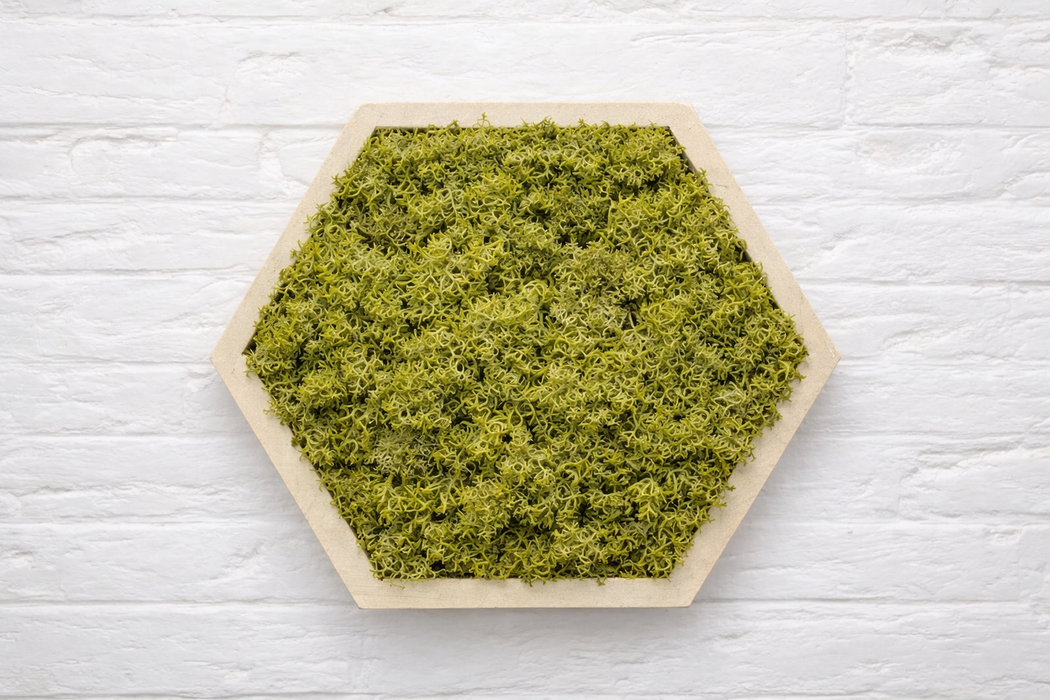Panel hexagonal decorativo con musgo preservado verde seco y base PLA arena, vista frontal