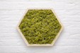 Panel hexagonal decorativo con musgo preservado verde seco y base PLA arena, vista frontal