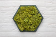 Panel hexagonal decorativo con musgo preservado verde seco y base PLA verde interferencia, vista frontal
